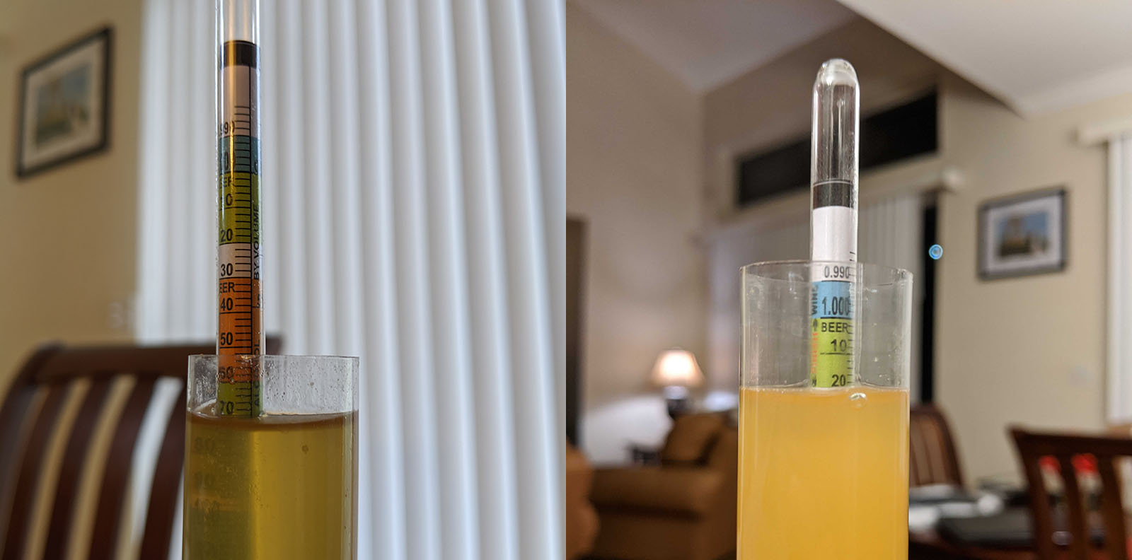 trillium original gravity